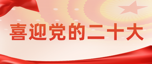 20打