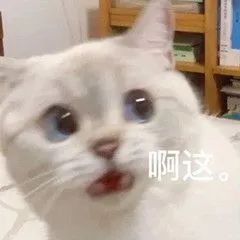 DM_20230608190150_002.JPEG