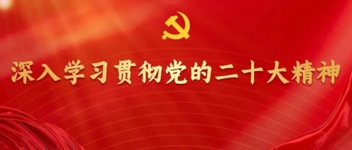 深入学习贯彻党的二十大精神