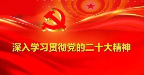 学习贯彻二十大精神