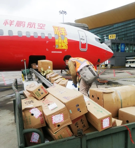 祥鹏航空获评2023年度“民航服务助力行业恢复年”活动“先进单位”称号02