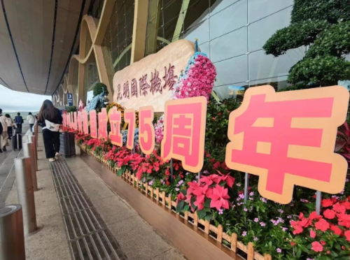 微信截图_20241009095637