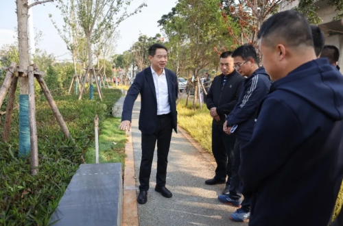 微信截图_20241030094511