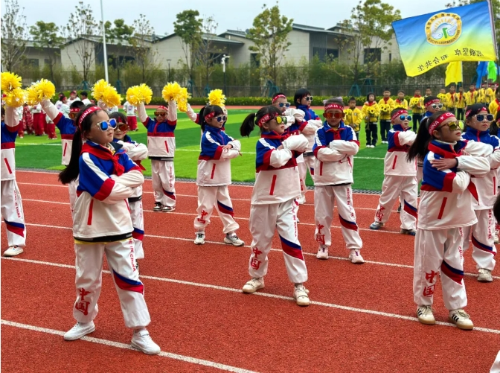 微信截图_20241202091426