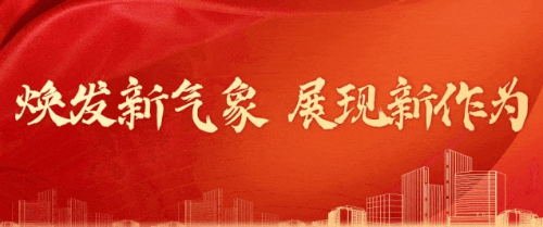 微信截图_20241205084722
