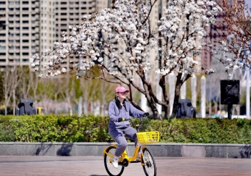 微信截图_20250630110207