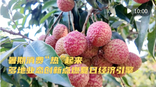 微信截图_20250703114959