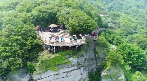 微信截图_20250703115011