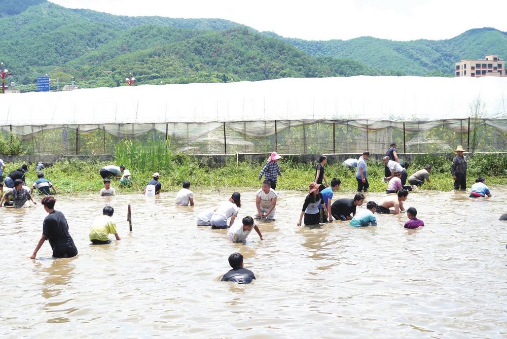 8eaa244a-b73c-4268-9fbe-f528257a8007