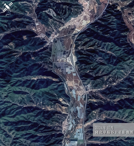 W020250810617195887870