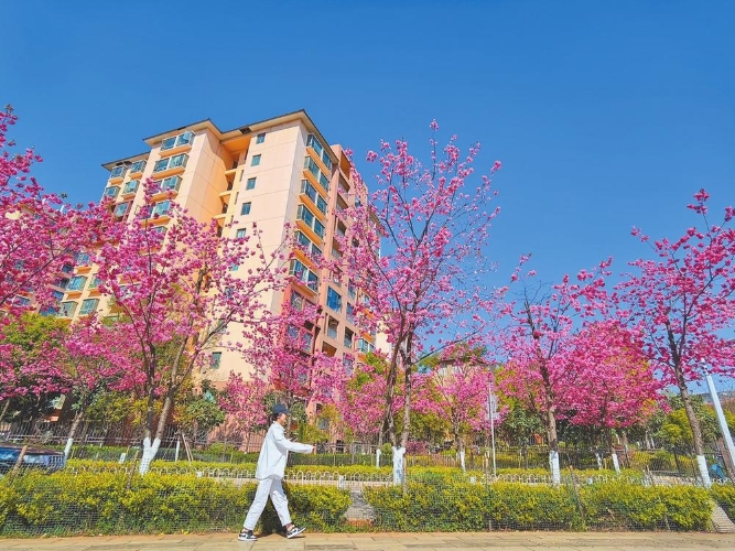 1b83f4ac-593e-4a45-b0d8-a6848721dd99